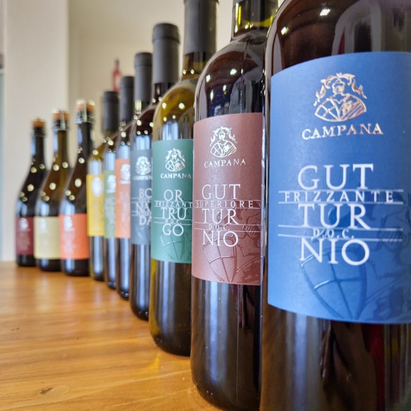 Cantine Campana: Tradizione e Innovazione nel Vino Italiano