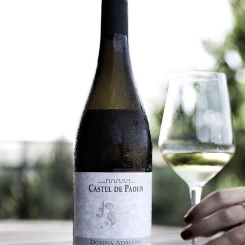 🍷 Castel de Paolis – Il Vino che Racconta il Lazio: Tradizione e Innovazione