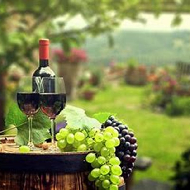 Cantine Borboniche : Impact Event